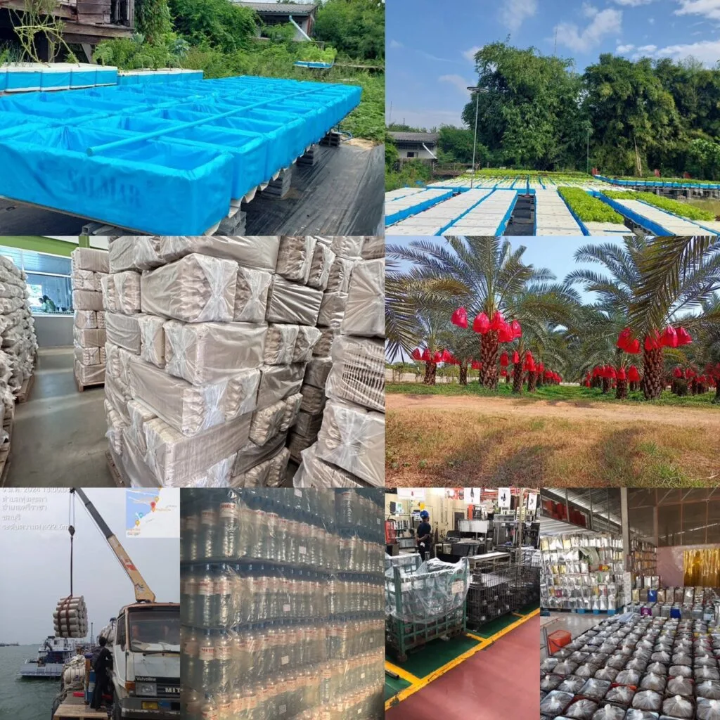 ตัวอย่างกลุ่มลูกค้าที่ไว้วางใจในการสั่งผลิตถุงพลาสติกจากโรงงานถุงพลาสติกไทยฮง ซึ่งลูกค้าของไทยฮงมีความหลากหลายจากทุกกลุ่มอุตสาหกรรม