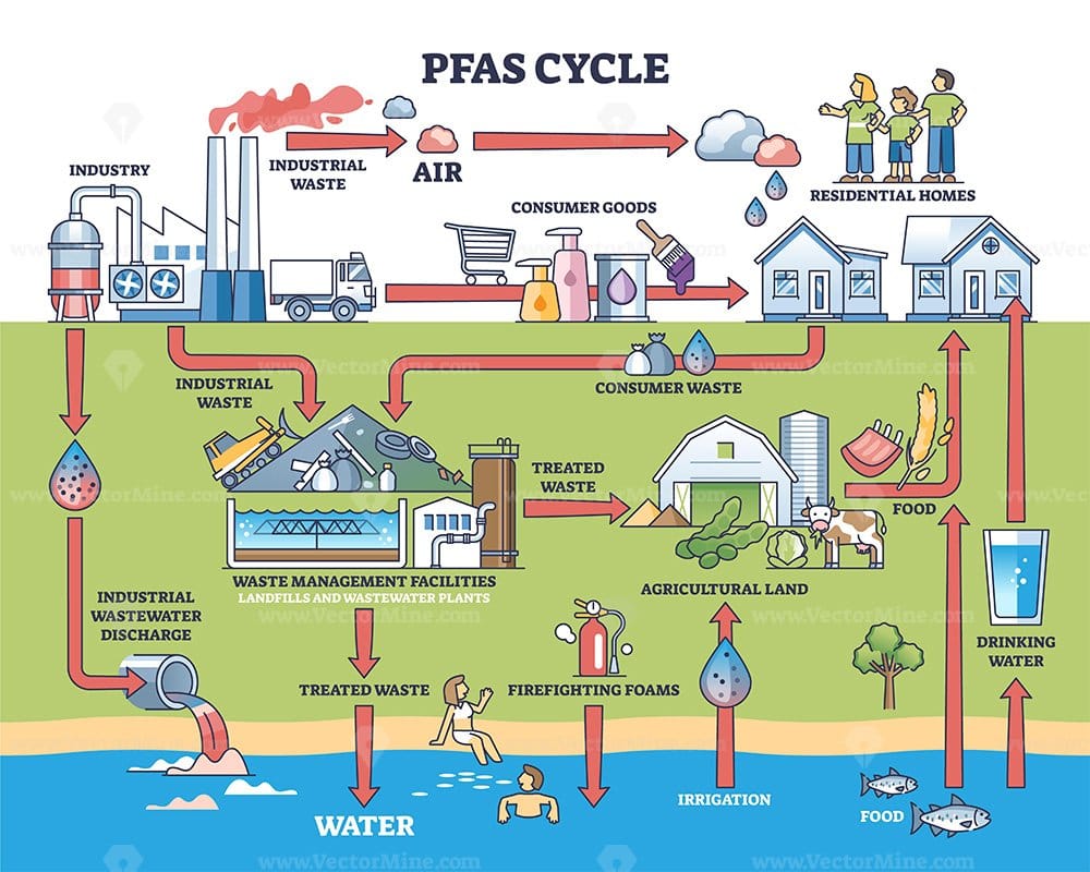 PFAS (Per- และ Polyfluoroalkyl Substances)