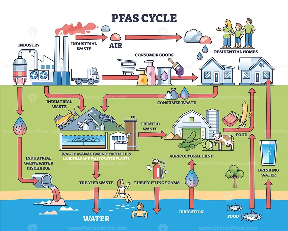 PFAS (Per- และ Polyfluoroalkyl Substances)