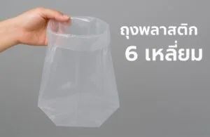 ถุงพลาสติก 6 เหลี่ยม