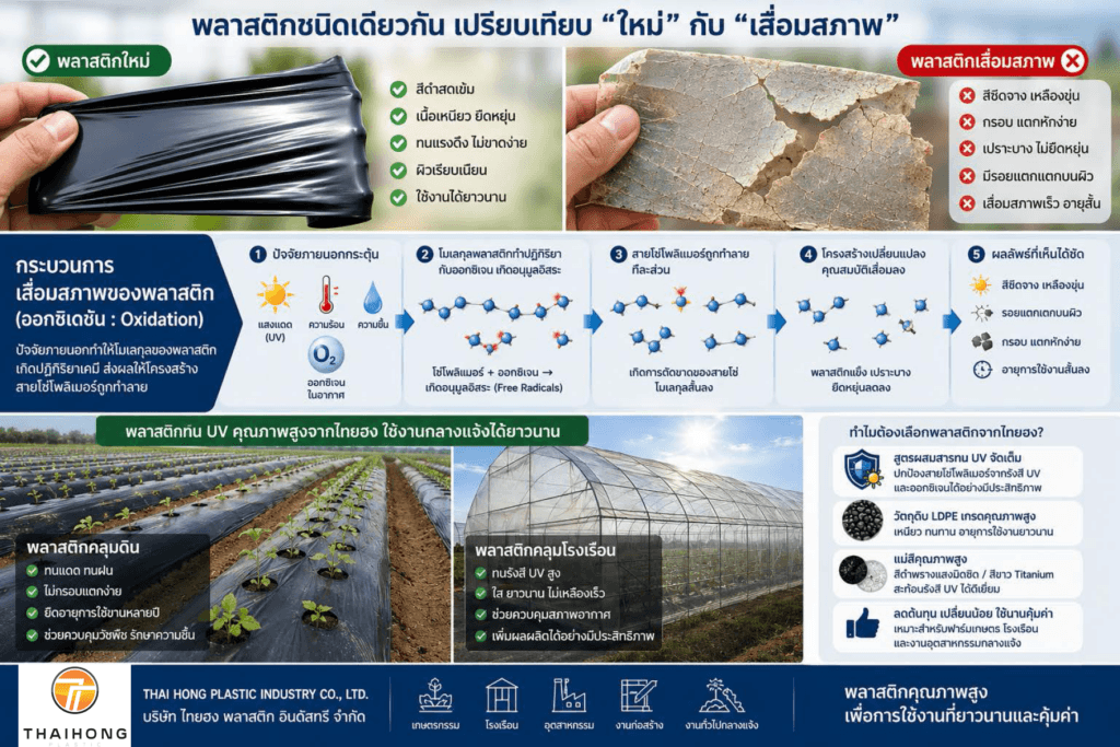 การเสื่อมสภาพจากออกซิเดชัน